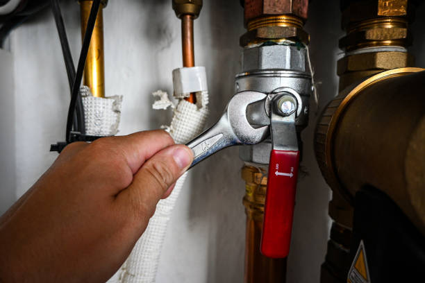 Best Clogged Drain Plumber  in Piedmont, CA